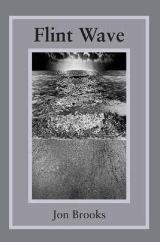 Buch Flint Wave Jon Brooks