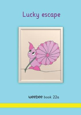 Buch Lucky escape R M Price-Mohr