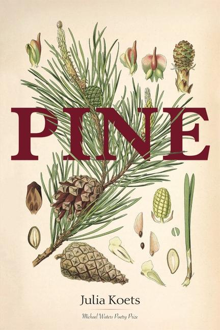 Knjiga Pine Julia Koets