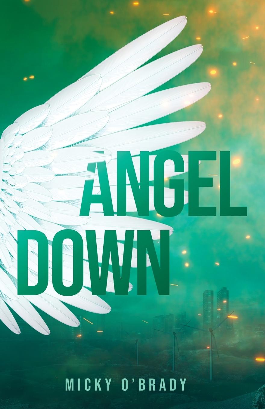 Книга Angel Down MICKY O'BRADY