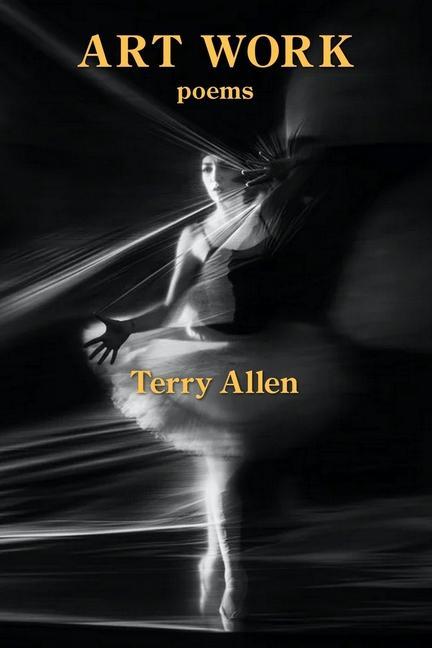 Knjiga Art Work Terry Allen