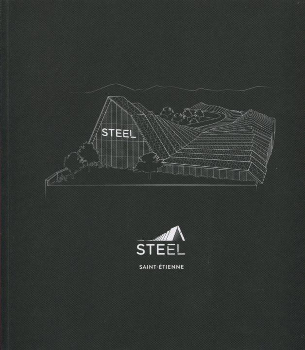 Libro Steel Delohen