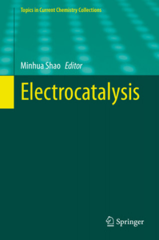 Книга Electrocatalysis Minhua Shao