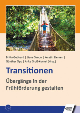 Book Transitionen Liane Simon