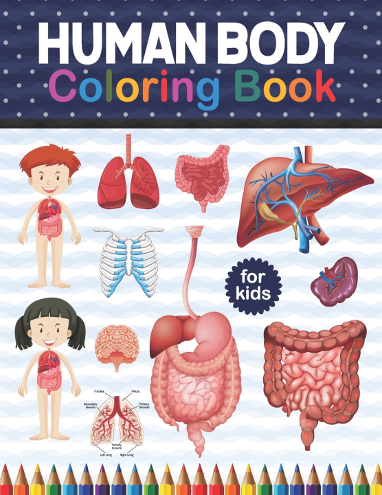 Knjiga Human Body Coloring Book For Kids Publication Shirkaylene Publication