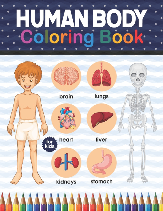 Knjiga Human Body Coloring Book For Kids Publication Shirkaylene Publication