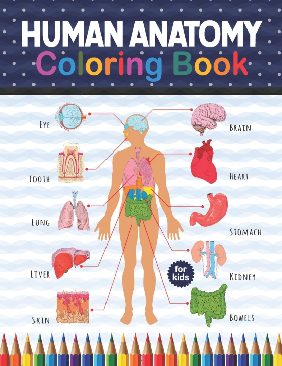 Knjiga Human Anatomy Coloring Book For Kids Publication Shirkaylene Publication