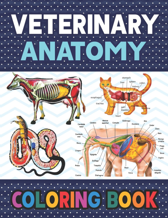 Βιβλίο Veterinary Anatomy Coloring Book Publication Darkeylone Publication