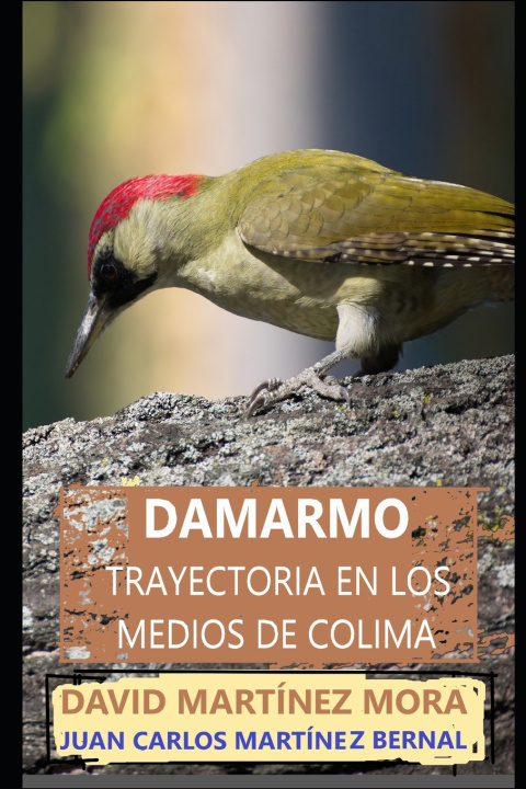 Libro Damarmo Martinez Mora David Martinez Mora