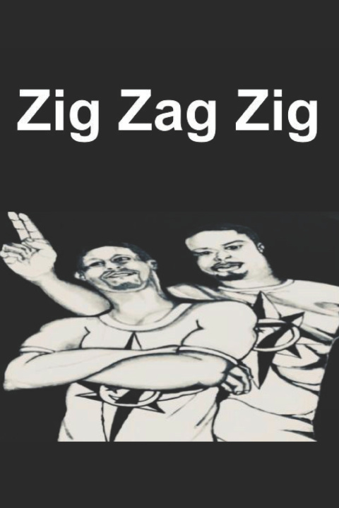 Knjiga Zig Zag Zig Shelene Thomas