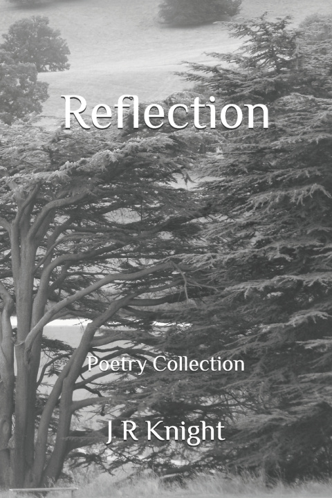 Knjiga Reflection Knight J R Knight