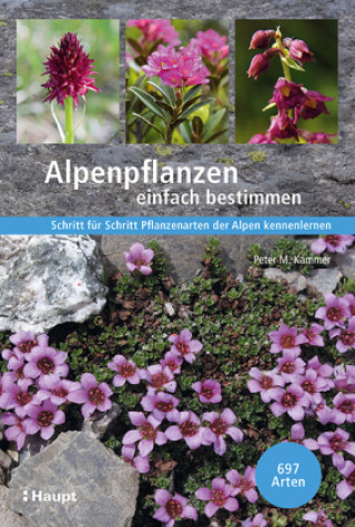 Книга Alpenpflanzen einfach bestimmen Stefan Eggenberg