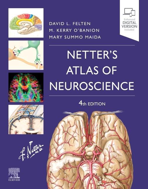 Книга Netter's Atlas of Neuroscience David L. Felten