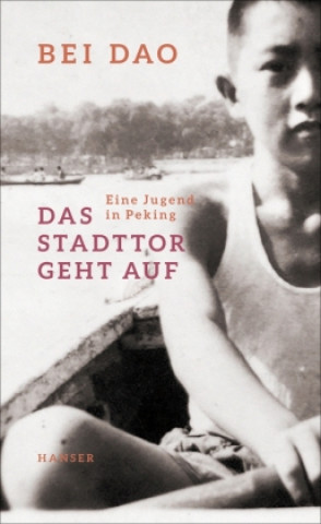 Knjiga Das Stadttor geht auf Wolfgang Kubin