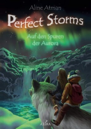 Knjiga Perfect Storms Aline Atman