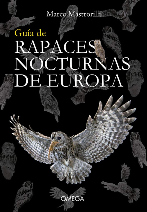 Kniha GUIA DE RAPACES NOCTURNAS DE EUROPA MARCO MASTRORILLI