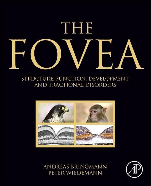 Buch Fovea Andreas Bringmann