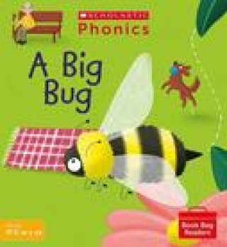 Knjiga Big Bug (Set 3) Karra McFarlane
