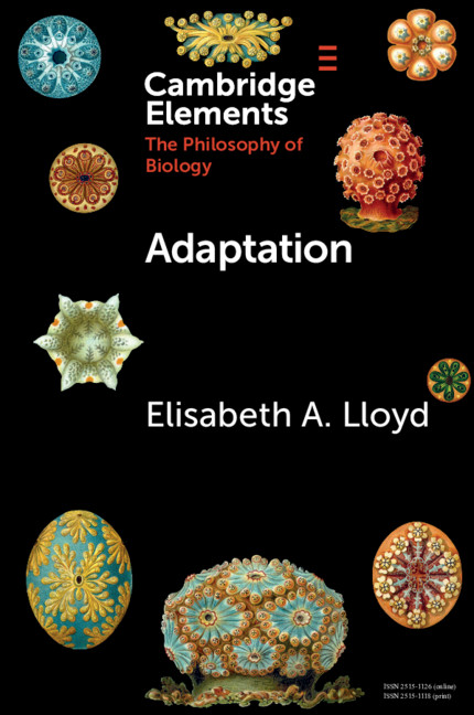 Livro Adaptation Lloyd