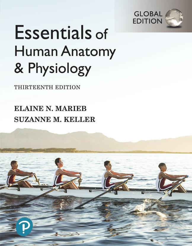 Könyv Essentials of Human Anatomy & Physiology, Global Edition Elaine Marieb
