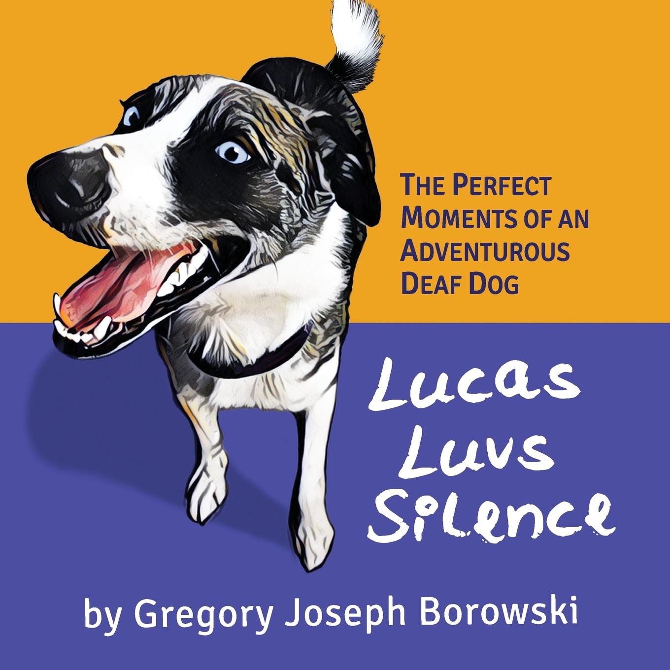 Knjiga Lucas Luvs Silence BOROWSKI