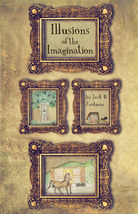 Kniha Illusions of the Imagination Zeidman Jack D. Zeidman
