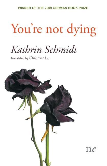 Boek You're not dying Kathrin Schmidt