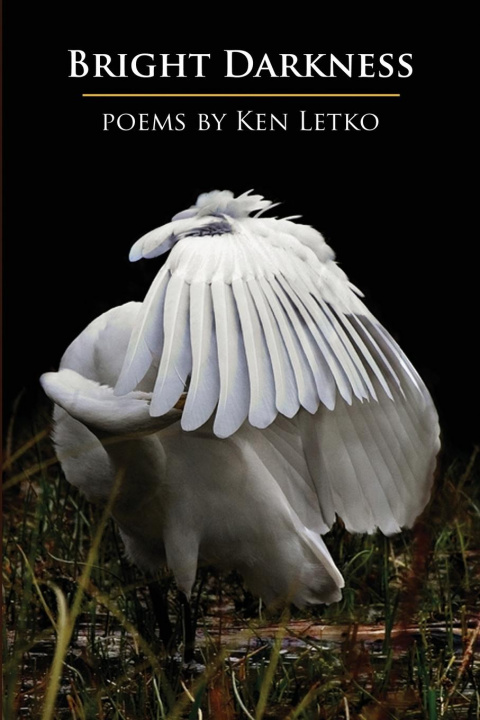 Libro Bright Darkness Letko Ken Letko