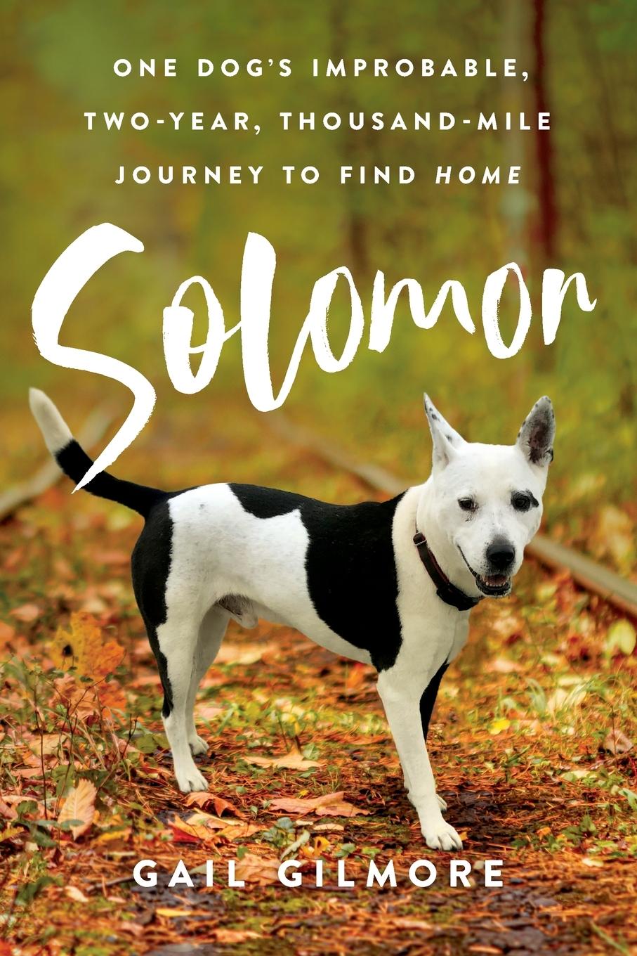 Knjiga Solomon GAIL GILMORE