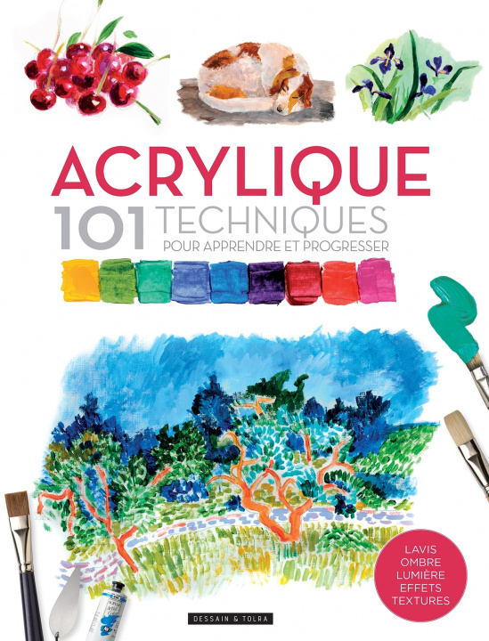 Carte Acrylique 101 techniques pour apprendre et progresser 