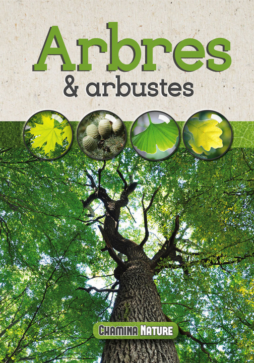Knjiga Arbres & arbustes 