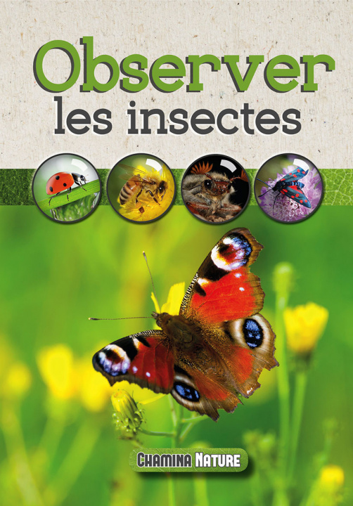 Boek Observer les insectes Bignon