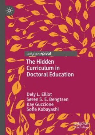 Kniha Hidden Curriculum in Doctoral Education Sofie Kobayashi