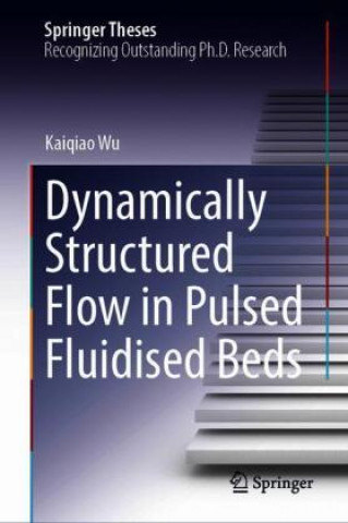 Book Dynamically Structured Flow in Pulsed Fluidised Beds Kaiqiao Wu