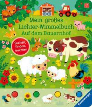 Kniha Mein großes Lichter-Wimmelbuch: Auf dem Bauernhof Federica Iossa
