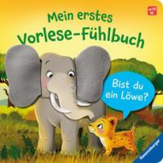 Kniha Mein erstes Vorlese-Fühlbuch: Bist du ein Löwe? Iris Blanck