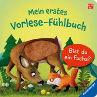 Könyv Mein erstes Vorlese-Fühlbuch: Bist du ein Fuchs? Iris Blanck