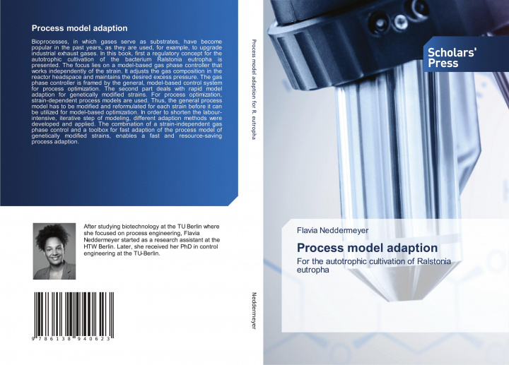 Knjiga Process model adaption Neddermeyer Flavia Neddermeyer