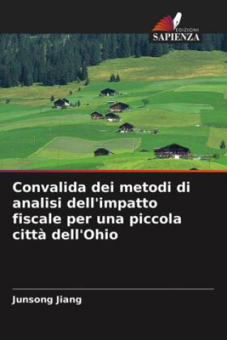 Kniha Convalida dei metodi di analisi dell'impatto fiscale per una piccola citta dell'Ohio Jiang Junsong Jiang