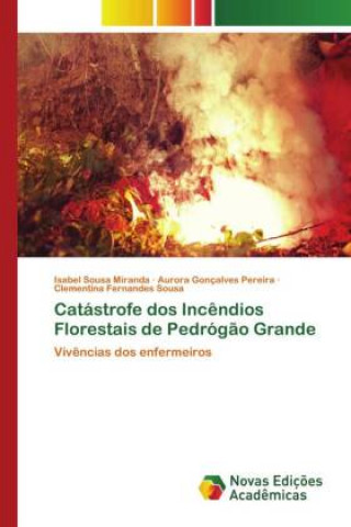Könyv Catastrofe dos Incendios Florestais de Pedrogao Grande Miranda Isabel Sousa Miranda