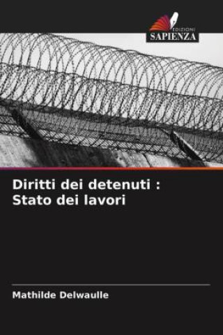 Knjiga Diritti dei detenuti Delwaulle Mathilde Delwaulle