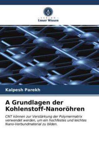 Knjiga Grundlagen der Kohlenstoff-Nanoroehren Parekh Kalpesh Parekh