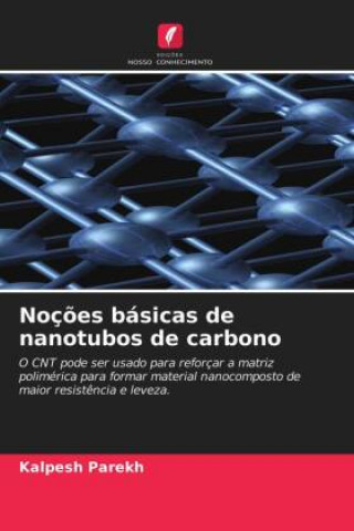 Kniha Nocoes basicas de nanotubos de carbono Parekh Kalpesh Parekh