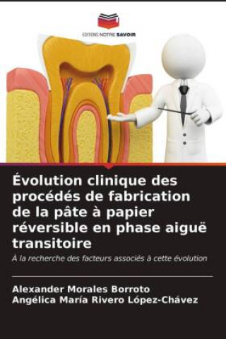 Kniha Evolution clinique des procedes de fabrication de la pate a papier reversible en phase aigue transitoire Morales Borroto Alexander Morales Borroto