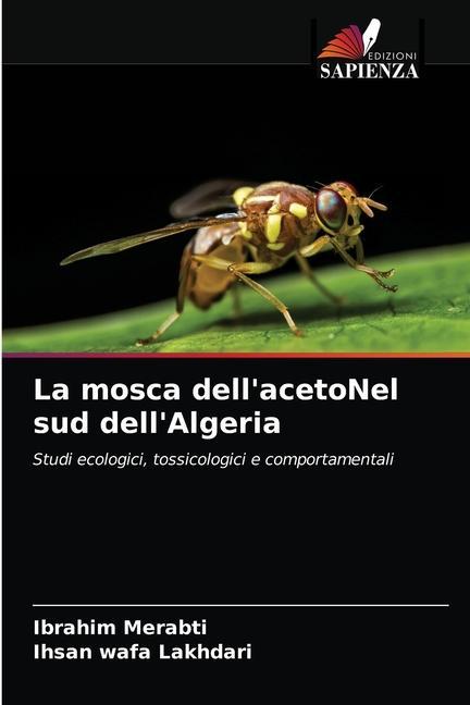 Knjiga mosca dell'acetoNel sud dell'Algeria Merabti Ibrahim Merabti
