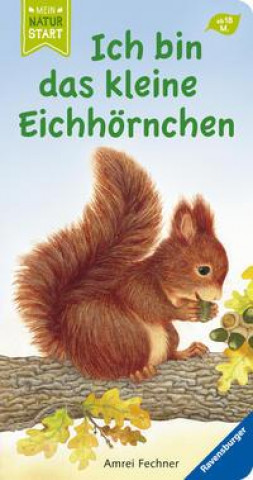 Könyv Ich bin das kleine Eichhörnchen Amrei Fechner
