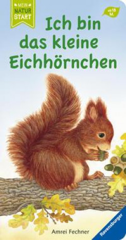 Kniha Ich bin das kleine Eichhörnchen Amrei Fechner