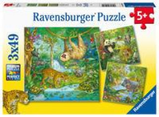 Joc / Jucărie Ravensburger Kinderpuzzle 05180 - Im Urwald - 3x49 Teile Puzzle für Kinder ab 5 Jahren 