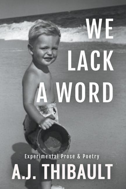Kniha We Lack a Word John Thibault