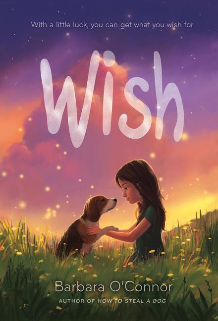 Knjiga Wish Barbara O' Connor